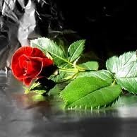 Sarfraz A