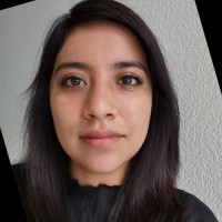 Diana Rosa Flores Moreno