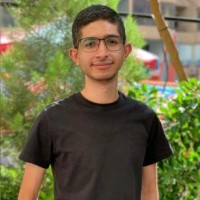 Diaa Essam