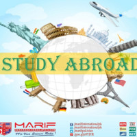 overseas consultancy