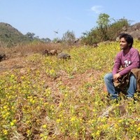 Divyatej Ganga