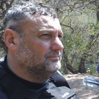 Guillermo Festa