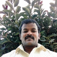 Hari Hari