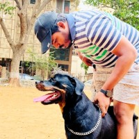 Shubham Pednekar