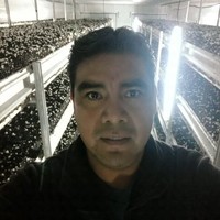José Antonio Ruiz Hernández