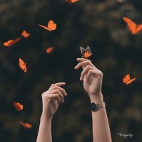 M. Ghavi