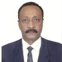Abdel Fatah Hamad, ITIL, PMP