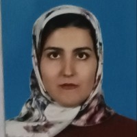 Zahra Nemati