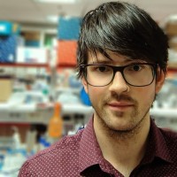 Santiago G Borrego, PhD