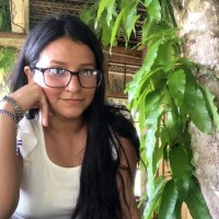 diana cristhina Torres diaz