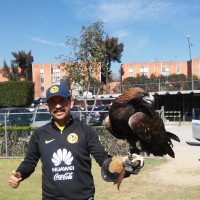 LUIS MANUEL GUTIERREZ NAVARRETE