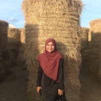 Nor Shafika Abd Aziz