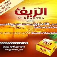 Reef Tea