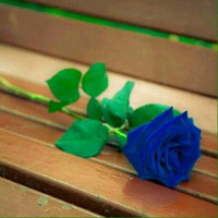 Hisham Skh