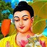 M. Basanth