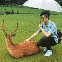 陈杰丰
