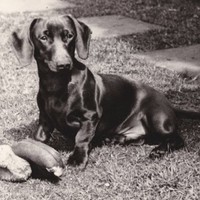 James Chadwick