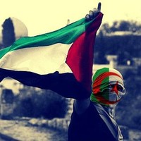 Anonymous Dz Hijasking