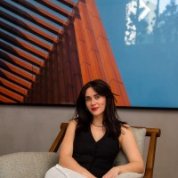 Ana Luísa Lavanholi