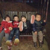 杨全武