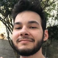 Vinicius Matheus Comarella Ferreira