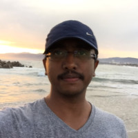 DivyaKrishna Vankayalapati