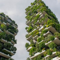 Jardines Verticales Murcia