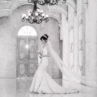 Shirley Zhang