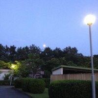 张勇刚