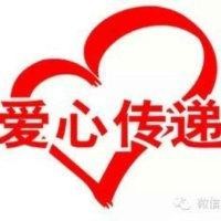 徐宝文