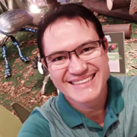 Ires Alves De Castro