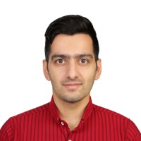 Hamid Sheykhipour Naeini