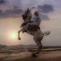 رضا نور