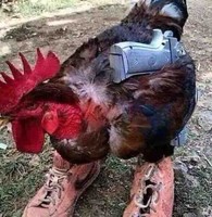 Максим Максимов