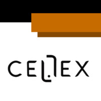 OCTAVIO SERRANO ROMERO