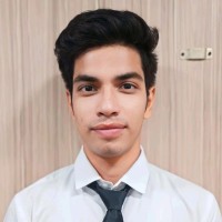 Hamid Raja