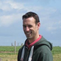 Peter Walford
