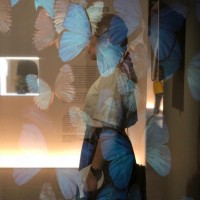 Alice Mak