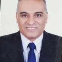 Wael Hafez