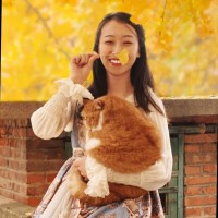 司南 Anna