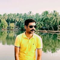 Hareesh D N