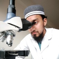 Zihan Mostafa