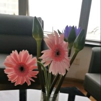 张宇玲