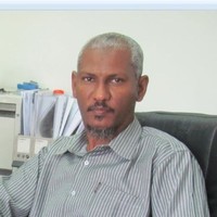 Abubakr Bashir