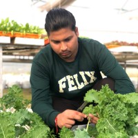 Akash negi