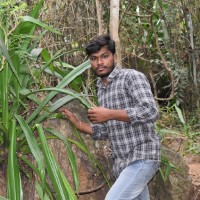 Prakasha K