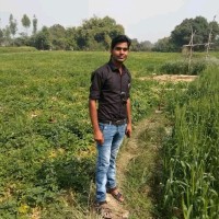 Shameer Prajapati