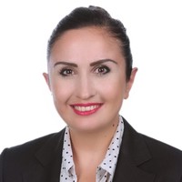 A. Nihan Sahin Arslan, Msc Eng.