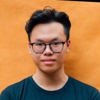 Duc Vo Hong