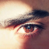 elyasvandi elyasvandi